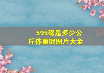 595磅是多少公斤体重呢图片大全