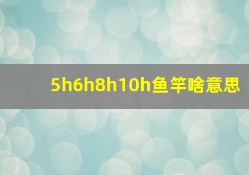 5h6h8h10h鱼竿啥意思