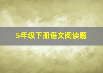 5年级下册语文阅读题