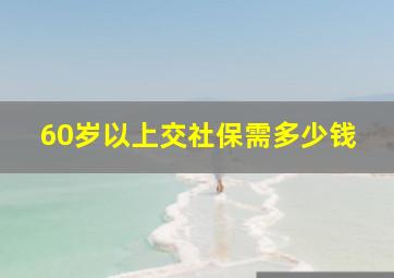 60岁以上交社保需多少钱