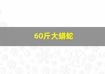 60斤大蟒蛇