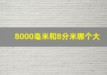 8000毫米和8分米哪个大