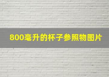 800毫升的杯子参照物图片