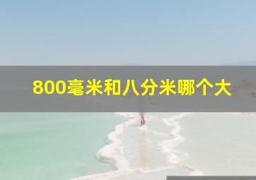 800毫米和八分米哪个大