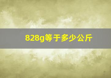 828g等于多少公斤