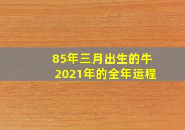 85年三月出生的牛2021年的全年运程