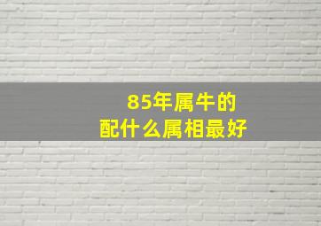 85年属牛的配什么属相最好