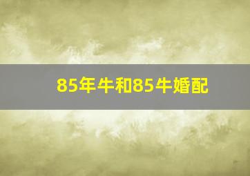 85年牛和85牛婚配