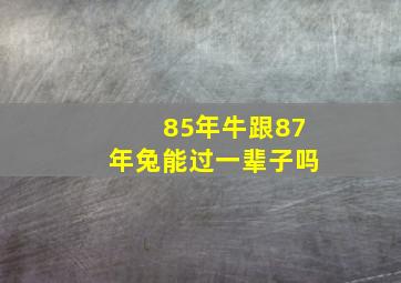 85年牛跟87年兔能过一辈子吗