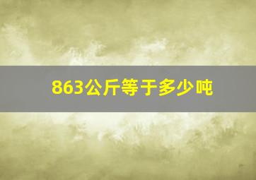 863公斤等于多少吨