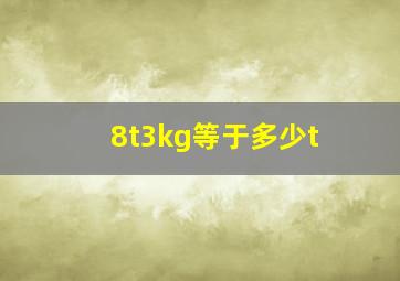 8t3kg等于多少t