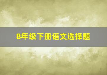 8年级下册语文选择题