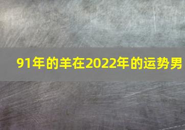 91年的羊在2022年的运势男