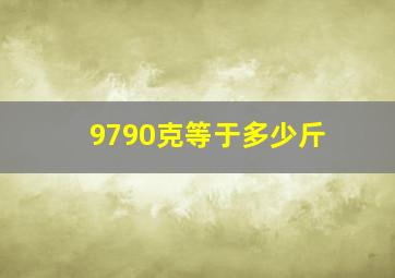 9790克等于多少斤