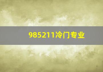 985211冷门专业