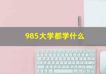 985大学都学什么