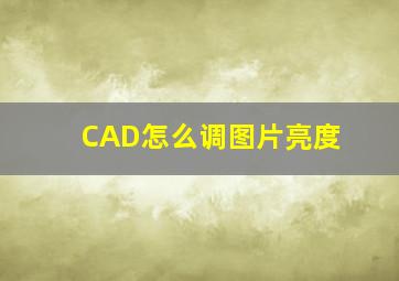 CAD怎么调图片亮度