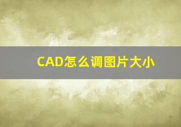 CAD怎么调图片大小