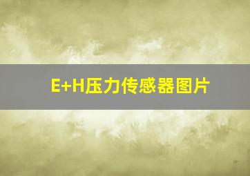 E+H压力传感器图片