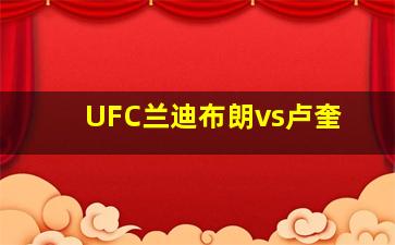 UFC兰迪布朗vs卢奎