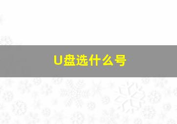 U盘选什么号