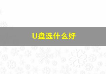 U盘选什么好