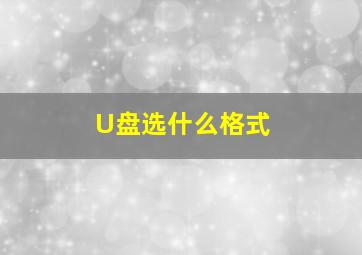 U盘选什么格式