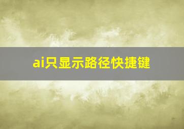 ai只显示路径快捷键