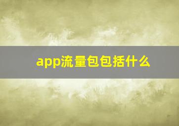 app流量包包括什么