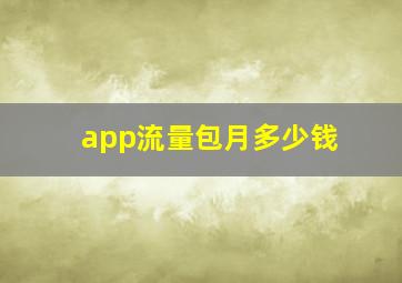 app流量包月多少钱