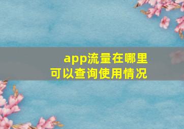 app流量在哪里可以查询使用情况