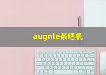 augnle茶吧机