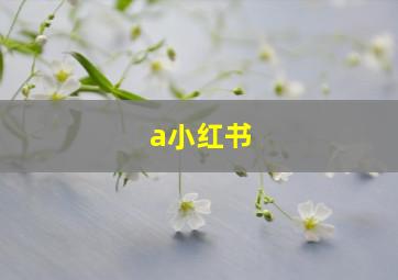 a小红书