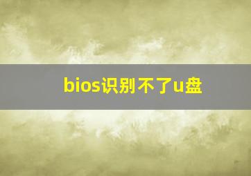 bios识别不了u盘