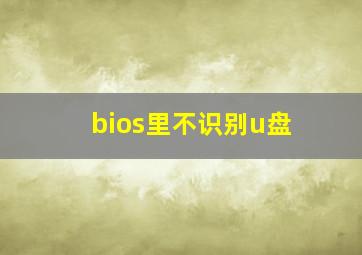 bios里不识别u盘