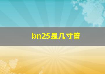 bn25是几寸管