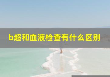 b超和血液检查有什么区别