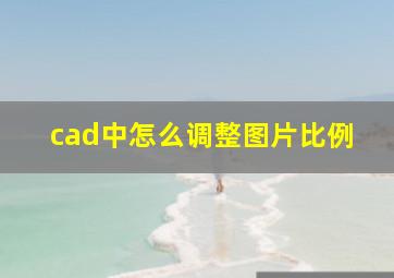 cad中怎么调整图片比例