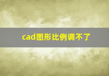 cad图形比例调不了