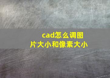 cad怎么调图片大小和像素大小