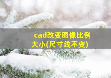 cad改变图像比例大小(尺寸线不变)