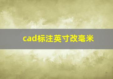 cad标注英寸改毫米