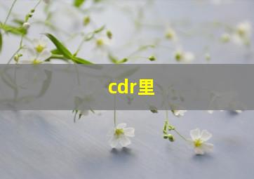 cdr里