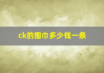 ck的围巾多少钱一条