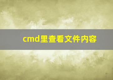 cmd里查看文件内容