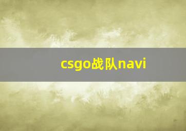 csgo战队navi