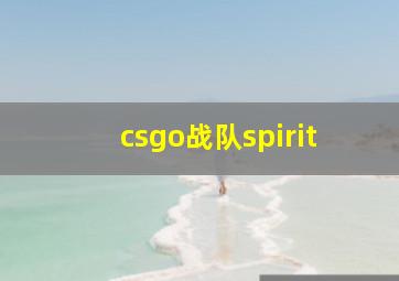 csgo战队spirit