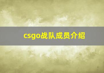 csgo战队成员介绍