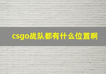 csgo战队都有什么位置啊