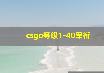 csgo等级1-40军衔